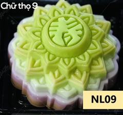 Khuôn Nhựa RCNL - NL09 - Chữ Thọ