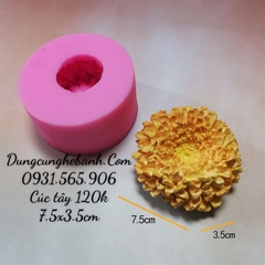 Khuôn Silicon - Hoa Cúc Tây - Cánh Thẳng Nhụy Chấm - 7.5cm