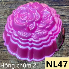 Khuôn Nhựa RCNL - NL47 - Hồng Chùm 2 Lá