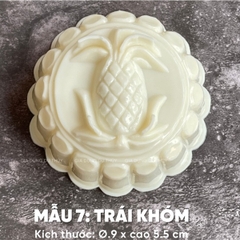 Khuôn Nhựa RCVT - RT07 - Trái Khóm 1c