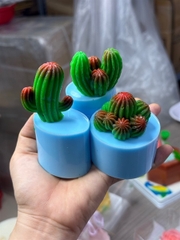 Khuôn Silicon - Sen Đá - Quanh Khía 4.8cm 7c