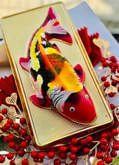 Hộp Nhựa - Cá Chép - 30cm
