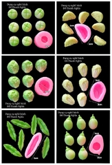 Khuôn Silicon - Rau Củ - Set 12 Khuôn Rau Củ