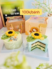 Túi Giấy Vuông 16cm Cao 12cm