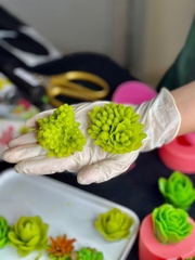 Khuôn Silicon - Sen Đá Nở - Chùm Bụi Hoa