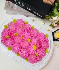Hộp Nhựa - Chữ Nhật Quai Xách - Trắng 23x15x6cm
