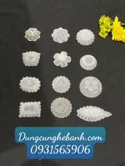 Chum Bánh Bò - Hoa Chấm Tia