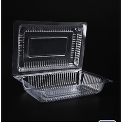 Hộp Nhựa - Chữ Nhật Nắp Gập H55 - 17x11cm Cao 5cm