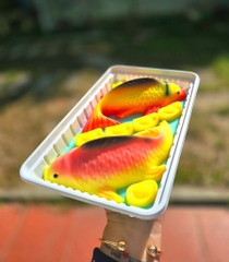 Hộp Nhựa - Chữ Nhật TN25 - 25x15cm Cao 7cm đế đen set 5 hộp