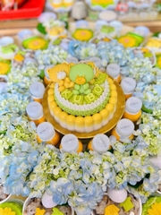 Khuôn Silicon - Động Vật - Gấu Teddy Tay