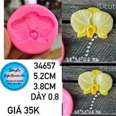 Khuôn Silicon - Hoa Lan 5cm chung thùng 4232
