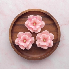 Khuôn Silicon - Hoa Cúc - Cánh Thẳng-cúc thủy tiên  - 5.2cm
