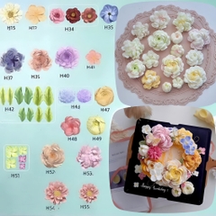 Khuôn Silicon - Set 14 Khuôn Hoa Hàn Quốc