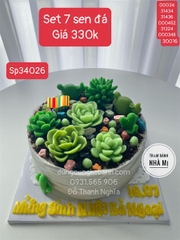 Combo 7 Sen Đá Khuôn Silicon