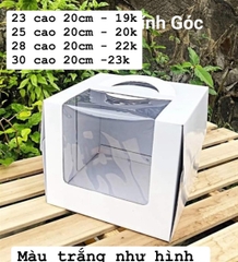 Hộp Giấy - Vuông Cao 20cm - Kính Góc