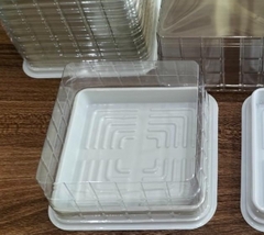 Hộp Nhựa - Vuông JHL12 - 12x12cm Cao 5cm - Đế Trắng