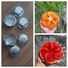 Khuôn Nhôm - Sò Loại 1