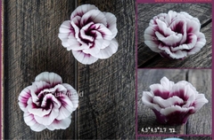 Khuôn Silicon - Hoa Mẫu Đơn - 4cm - M8 V24 sale 50k