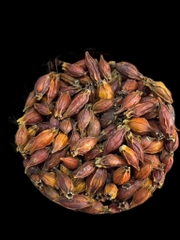 Tạo Màu TN - Hạt Dành Dành