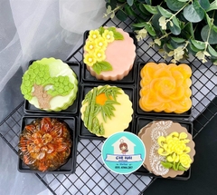 Khuôn Nhựa RCVT - RT18 - VUÔNG Hồng 4 Lá