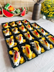 Hộp Nhựa - Chữ Nhật TN25 - 25x15cm Cao 7cm đế đen set 5 hộp