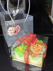 Túi Nhựa - Đựng Hộp Mika - Quai Xách 22cm