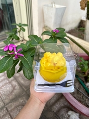 Khuôn Silicon - Hủ Vàng - Rỗng Nhỏ 8.2cm