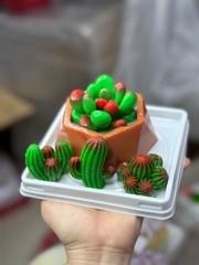 Khuôn Silicon - Sen Đá - Quanh Khía 4.4Cm 4c