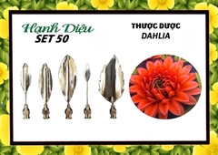 Kim 3D Inox - Bộ 5 - Mẫu 50 Thược Dược DAHLIA