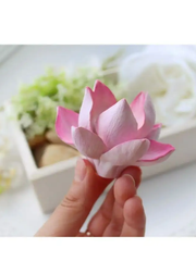 Khuôn Silicon - Hoa Sen Nở - Hoa Sen Nhuỵ 8cm