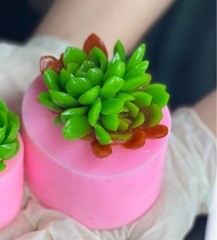 Khuôn Silicon - Sen Đá Nở - Chùm 2 - Cánh Tia