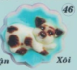 Khuôn Nhựa RCNL - NL46 - Heo Ủn Ỉn
