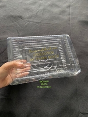 Hộp Nhựa - Chữ Nhật Nắp Gập - 22x15cm Cao 5cm
