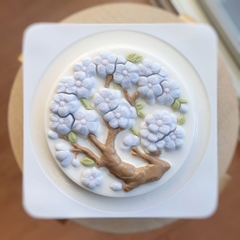 Khuôn Nhựa Cứng - Rau Câu NL