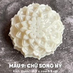 Khuôn Nhựa RCVT - RT09 - Song Hỷ Tầng
