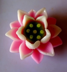 Khuôn Silicon - Hoa Sen Thái Nở - 7cm - 3T - SL145