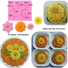 Khuôn Silicon - Hoa Cúc Dẹp TH 5c - 5.5 > 7.5cm