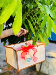 Túi Giấy - Quai Xách - Chữ Nhật 19x27cm Cao 15Cm