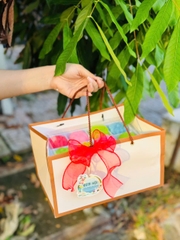 Túi Giấy - Quai Xách - Chữ Nhật 19x27cm Cao 15Cm