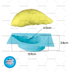 Khuôn Silicon- Vĩ Sầu Riêng 13.9cm