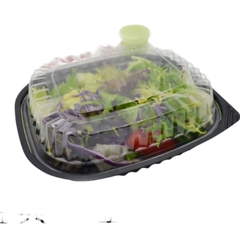 Hộp Nhựa - Vuông HT12 - 12cm Cao 6cm - Đế Đen