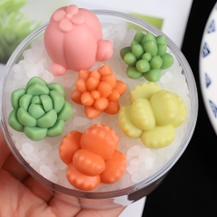 Khuôn Silicon - Sen Đá Tia 5Cm