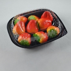 Hộp Nhựa - Vuông HT12 - 12cm Cao 6cm - Đế Đen