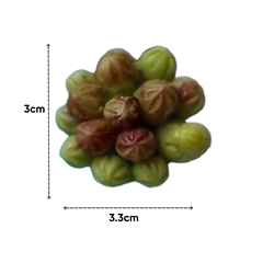 Combo 10 Khuon Silicon Sen Đá 345k