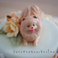 Khuôn Silicon - Động Vật - Chó Nằm Pomeranian