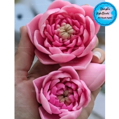 Khuôn Silicon - Hoa Sen Nở - Hoa Sen Nhuỵ 7.5cm
