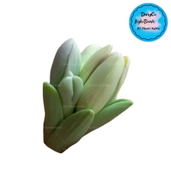 Khuôn Silicon - Hoa Nụ Búp Đơn Nụ Mẫu Đơn 5c