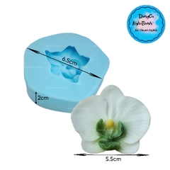 Khuôn Silicon - Hoa Lan Nằm - 5.5cm