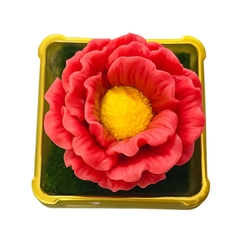 Khuôn Silicon - Hoa Cúc Thái E2