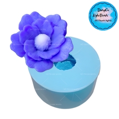 Khuôn Silicon - Hoa Cúc Thái Mã C - Cánh Thẳng - 6cm C14